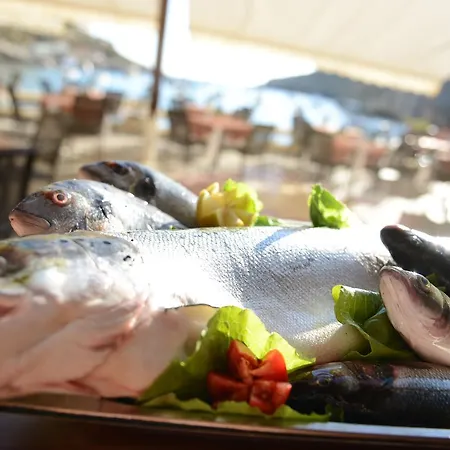 Hotel St. Patrick's Xlendi